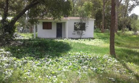 Padrón Común Pinar Norte 1.200 M2 Terreno