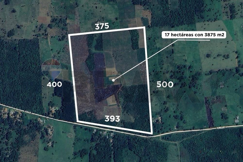 En venta terreno de 17 hectareas con 3875m2 en San Pedro - Yatayty del Norte — foto 3