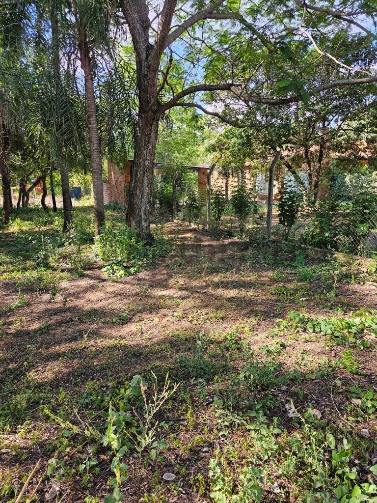 SAN BERNARDINO EN VENTA TERRENO ARBOLADO EN EXCELENTE UBICACIÓN — foto 3