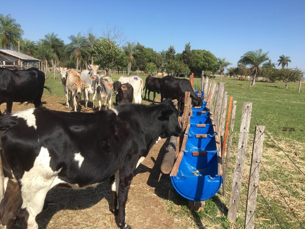 VENDO 9 HECTARIAS EN YBYCUI PARAGUARI — foto 2