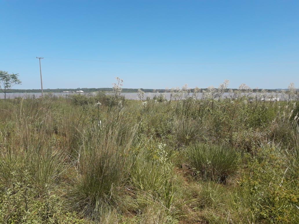 En Venta Terreno en Enarnación - Invertí frente al Río Paraná — foto 2