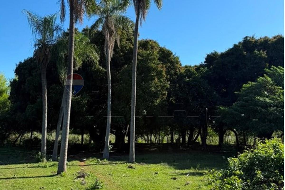 VENDO 23.956 M2 EN CAACUPE — foto 2