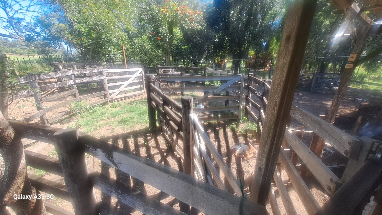 VENDO ESTANCIA - Coronel Oviedo – Caaguazú, Paraguay — foto 3