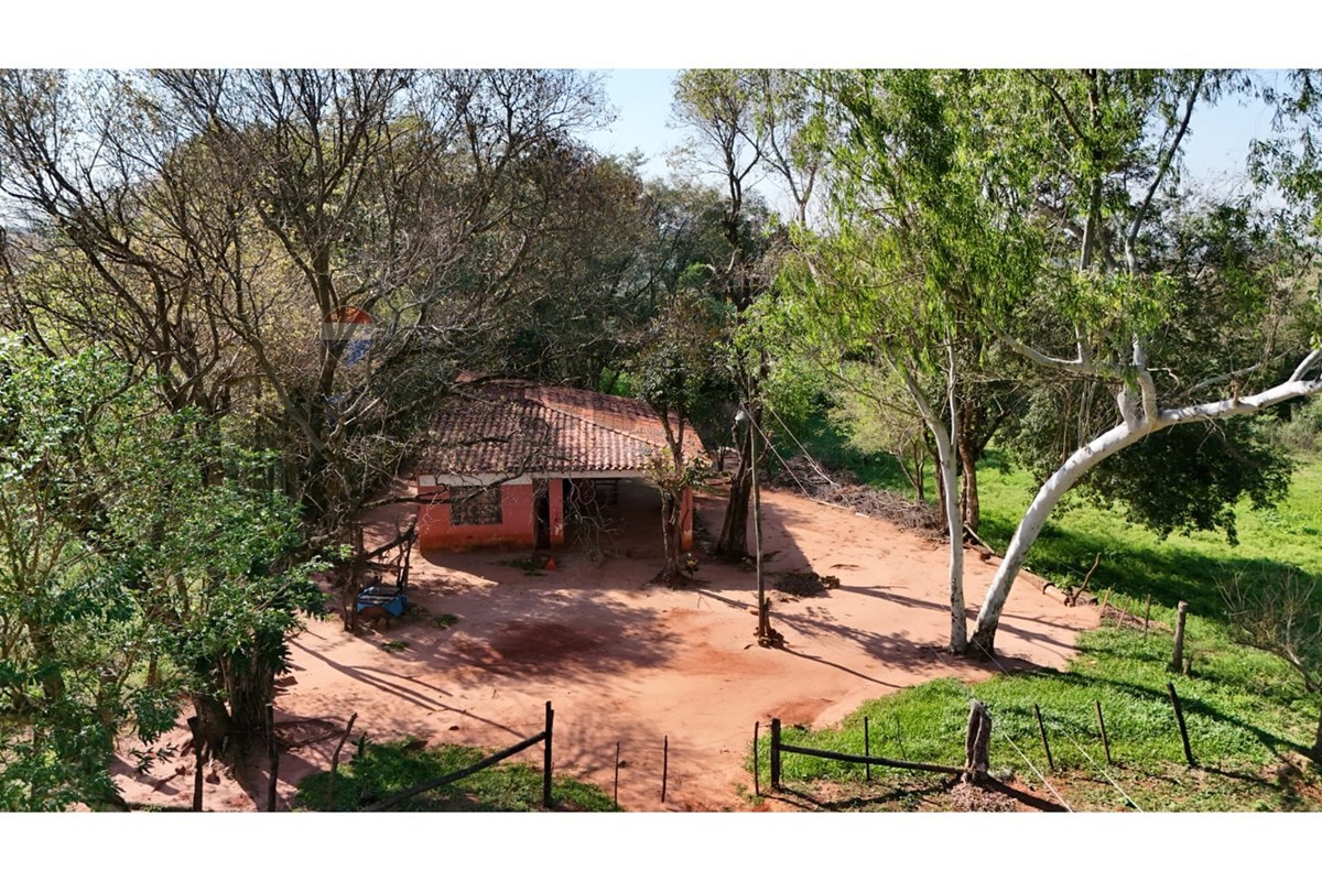 VENDO CAMPO EN CAAGUAZU 145 HECTAREAS — foto 3