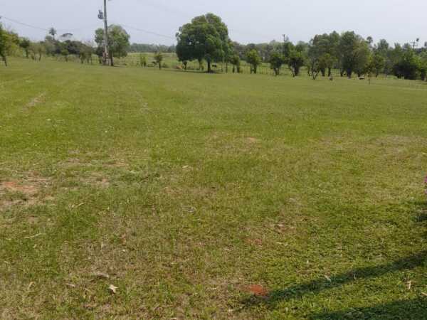 VENDO 8 HECTAREAS — foto 2