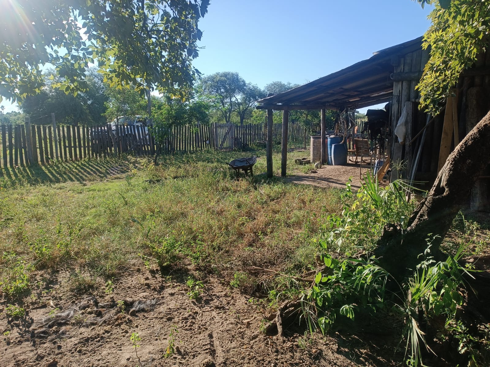 Venta De Campo - Zona Chaco Paraguayo — foto 2