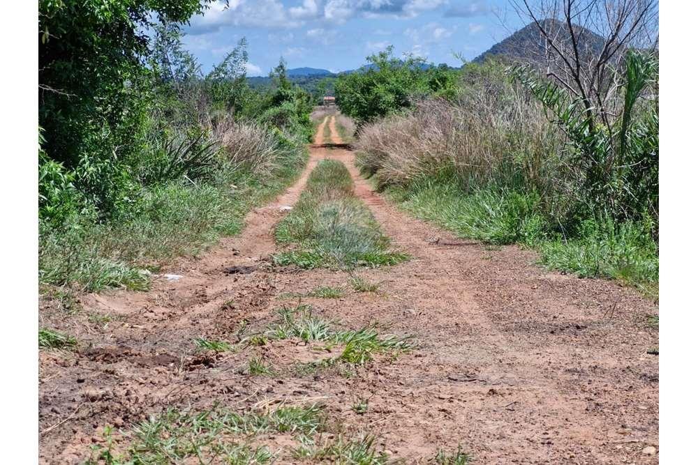 VENDO CAMPO FORMADO SOBRE RUTA EN QUIINDY - YBYCUI — foto 3