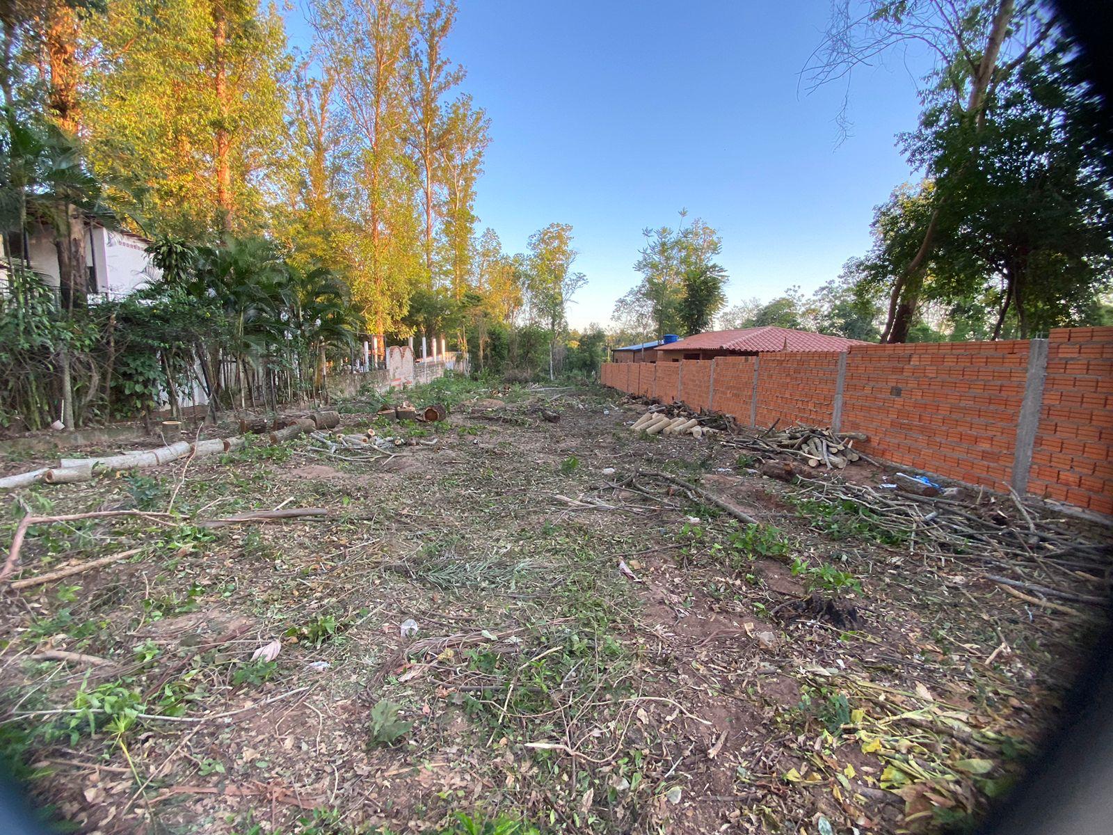 Vendo Hermoso Terreno De 800 M2 En Fracción La Gruta, San Bernardino — foto 3
