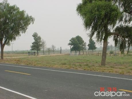Terreno De 20 Hectareas Sobre Ruta 1 Km210