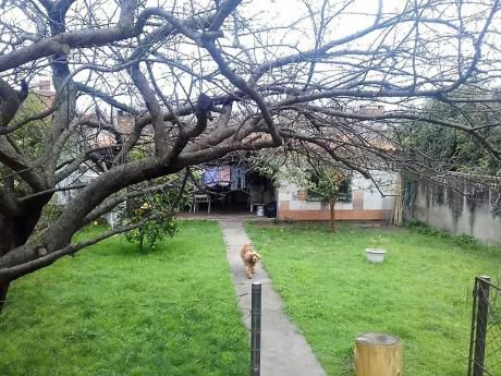 Casa Buceo