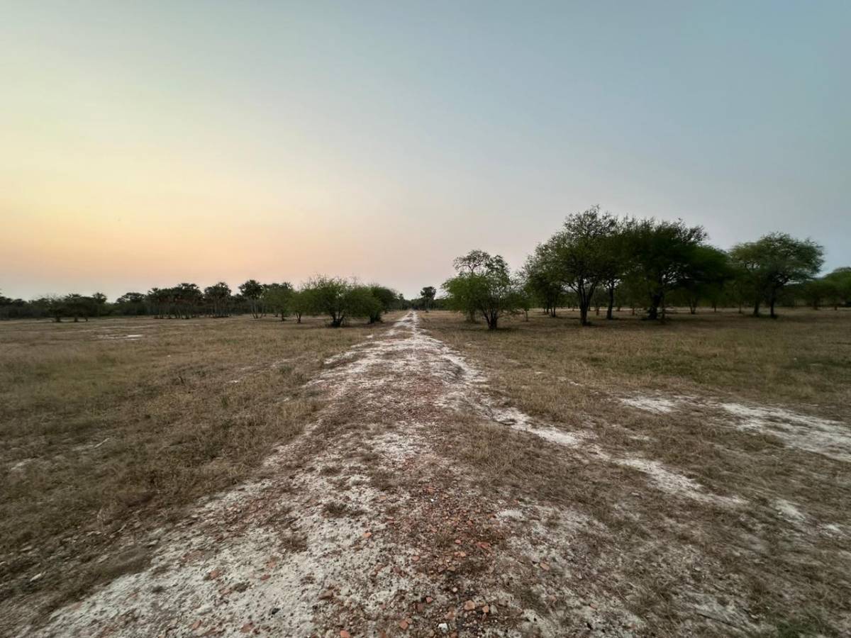 VENDO 20 HECTAREAS EN CHACO-I — foto 2