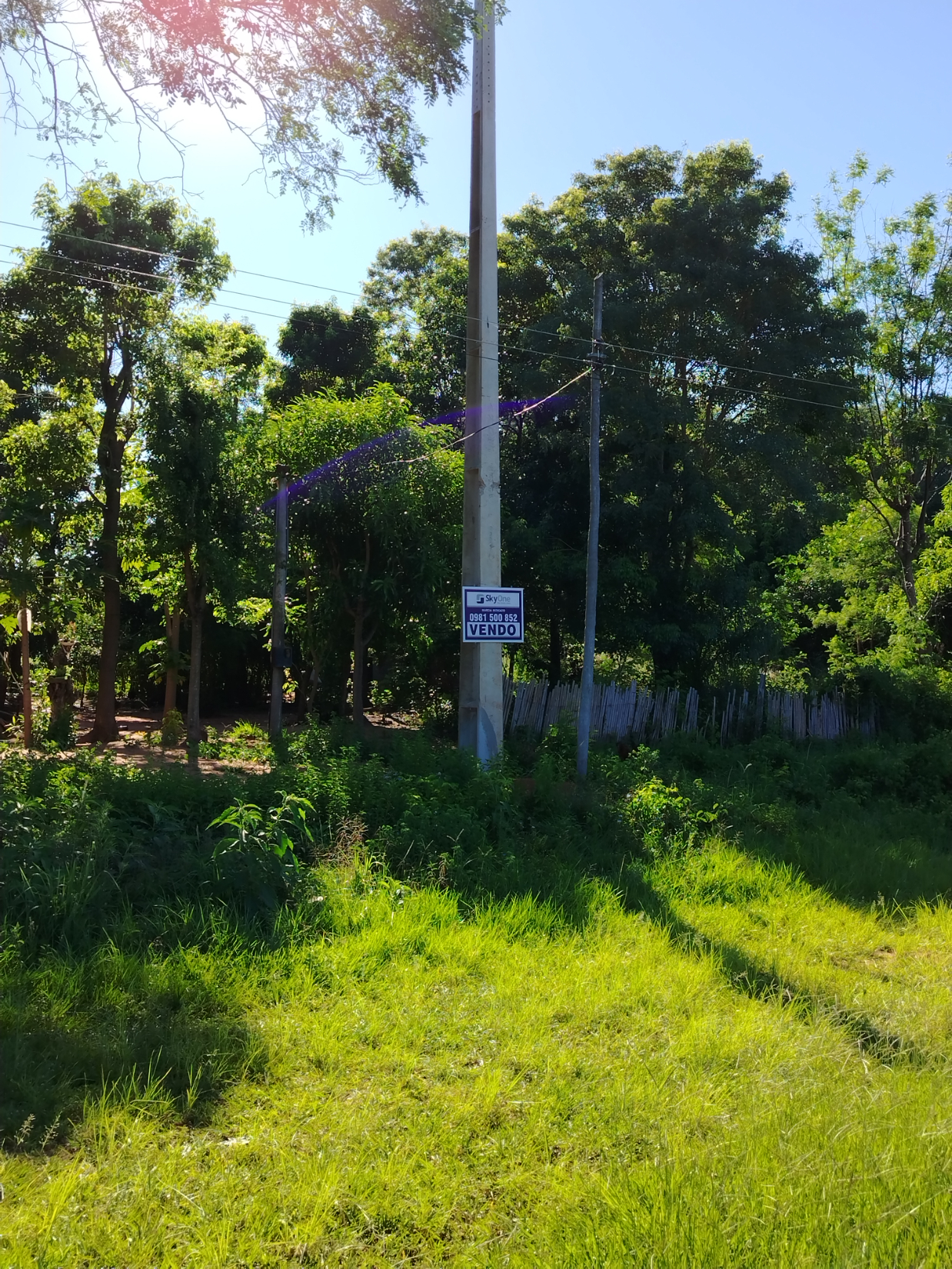 VENDO TERRENO EN PARAGUARI — foto 2