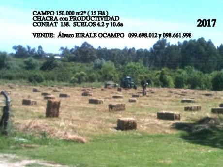 U128475 450.000=terreno 150.000 M2* ( 15 Há ) Montevideo