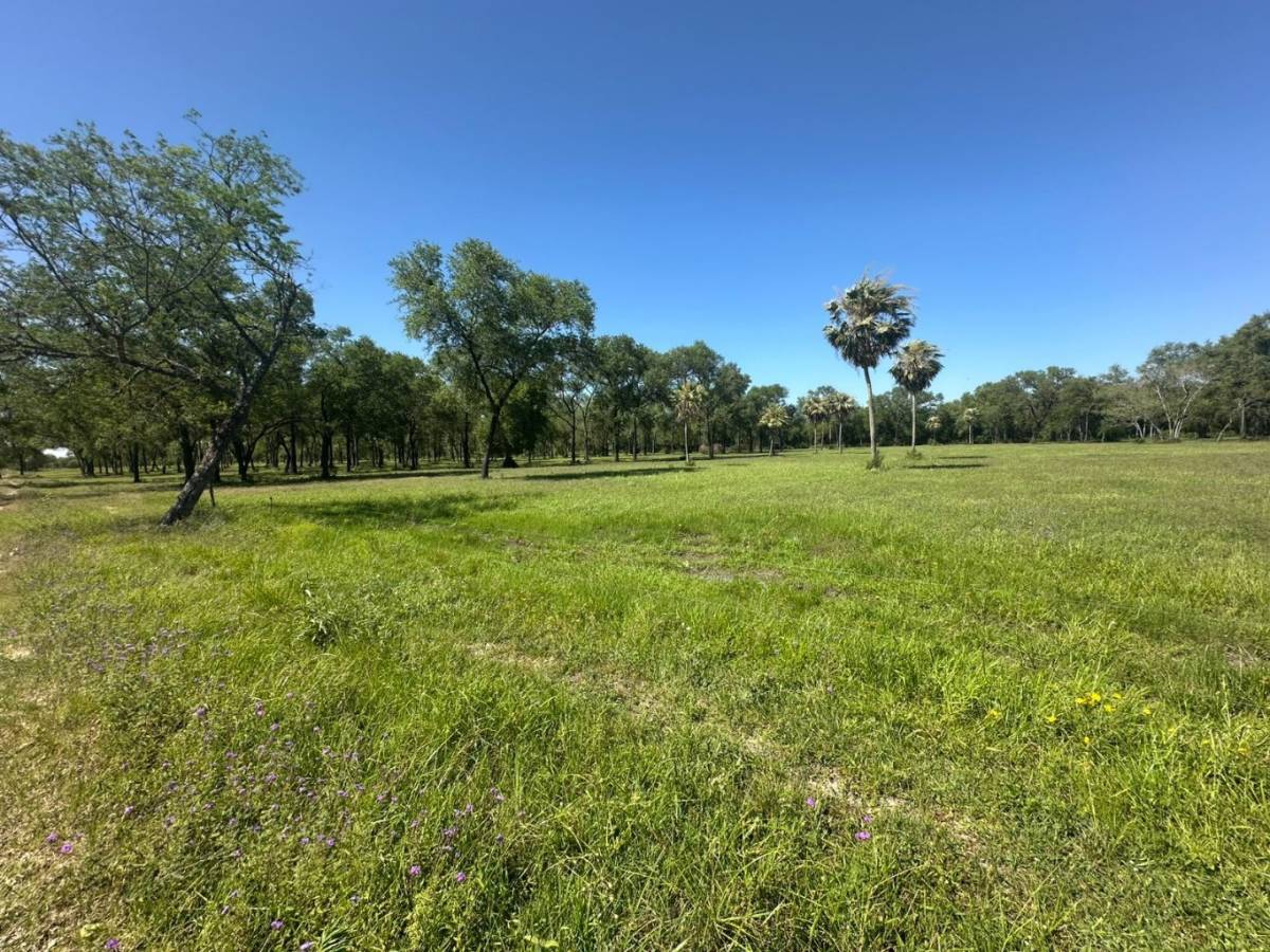 VENDO 20 HECTAREAS EN CHACO I PUERTO FALCON — foto 2