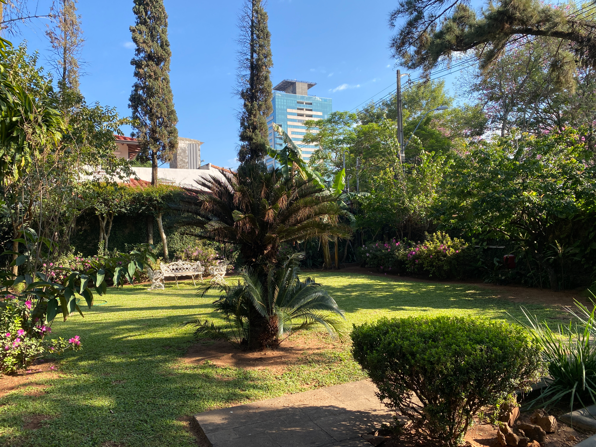 VENDO TERRENO PARA DESARROLLO 1600M2 SOBRE HASSLER — foto 2