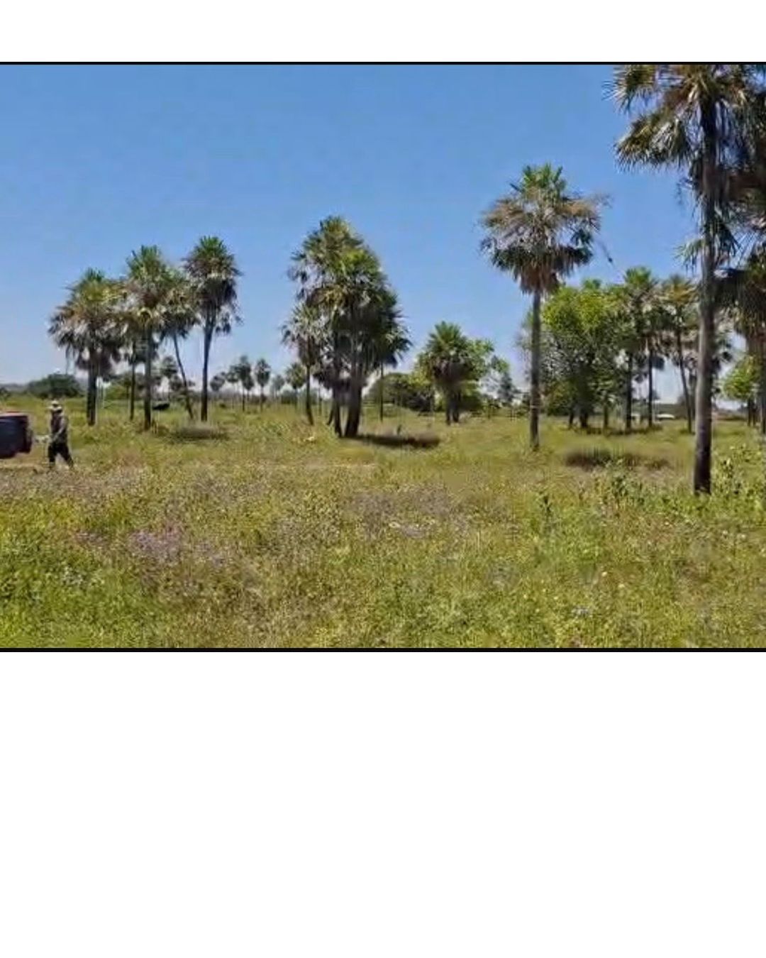 VENDO TERRENO EN VILLA HAYES — foto 2