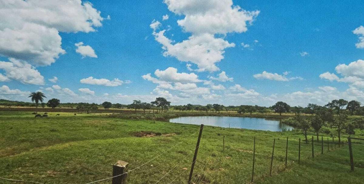 VENDO ESTANCIA EN CAAPUCÚ DE 612 HECTÁREAS — foto 3