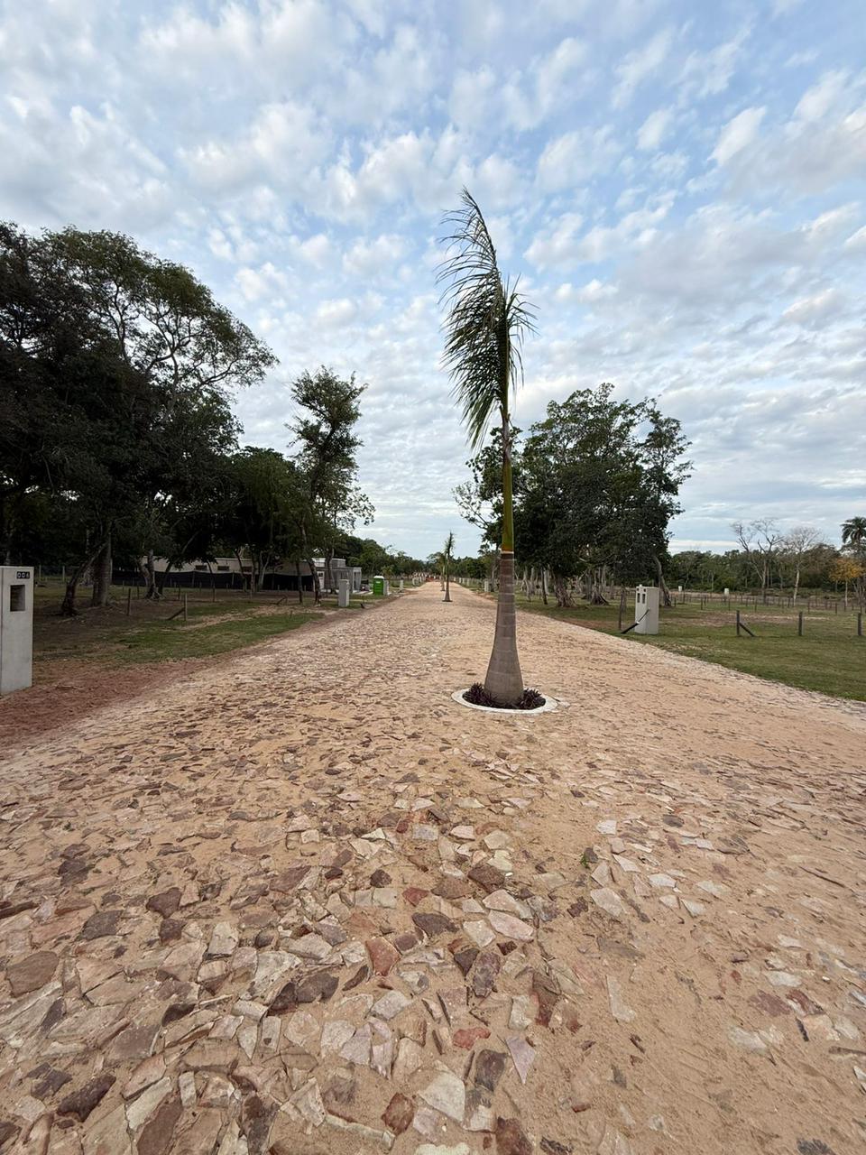 Vendo Terreno En Barrio Cerrado Aregua Forest — foto 2