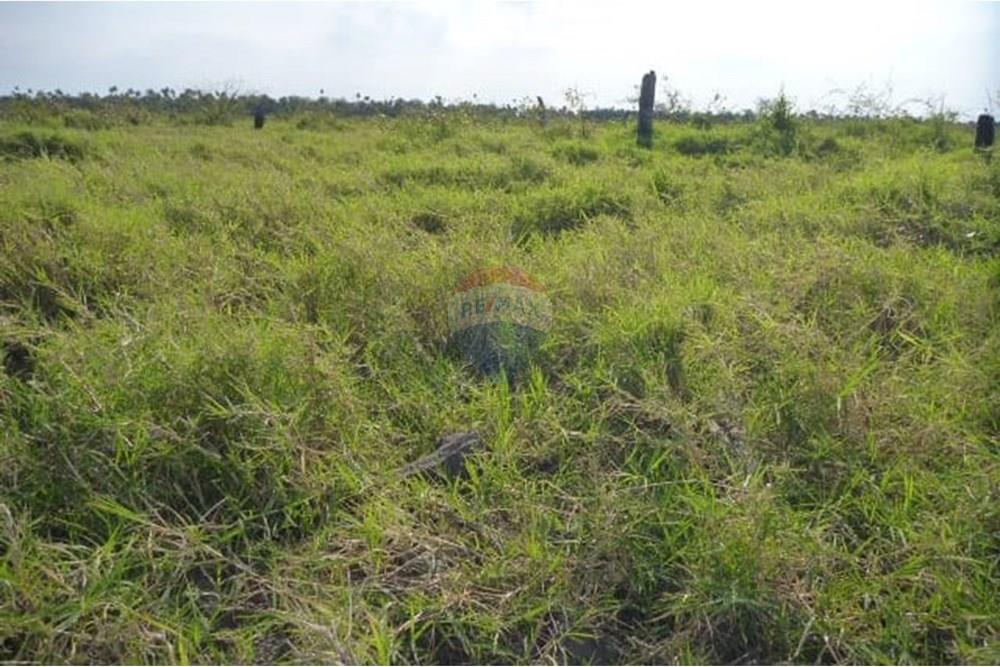 En Venta-Estancia/Campo -Gral, José María Bruguéz, Presidente Hayes, Paraguay — foto 3