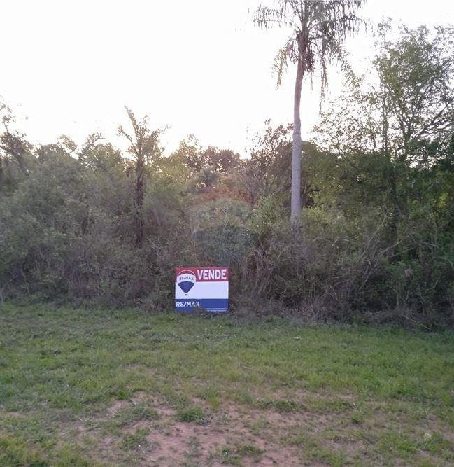 VENDO TERRENO EN PIRIBEBUY A PASOS DE LA RUTA — foto 3