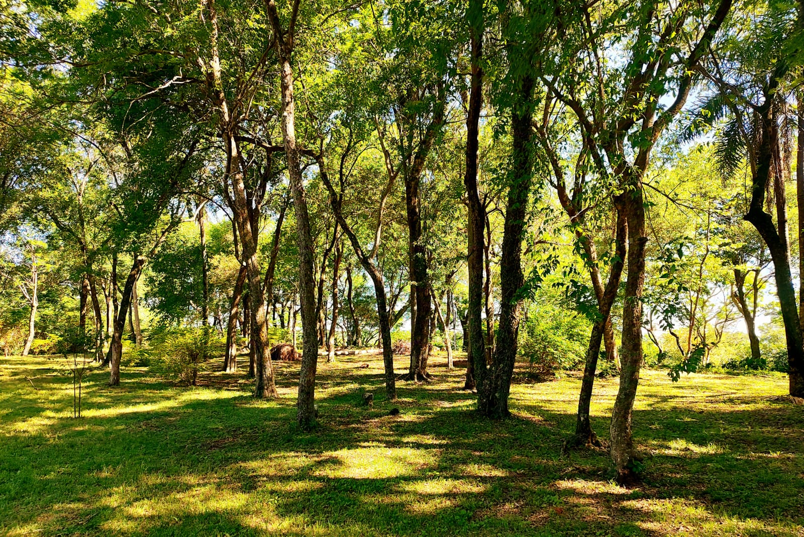Únicos terrenos con la mejor vista en Atyra, Casa del Monte — foto 3