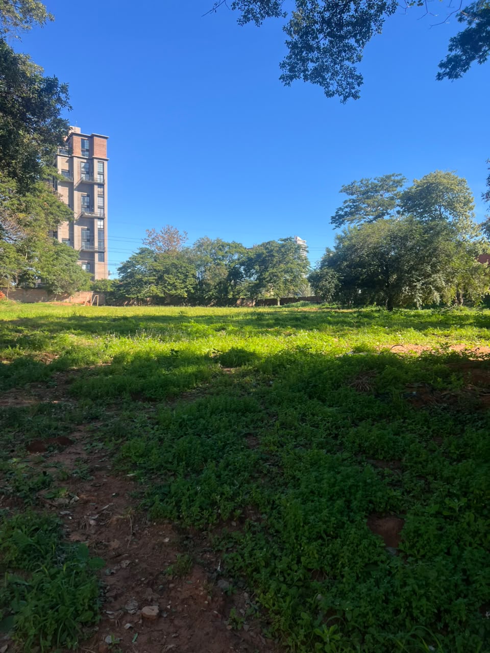ALQUILO AMPLIO TERRENO SOBRE PRIMER PRESIDENTE — foto 3