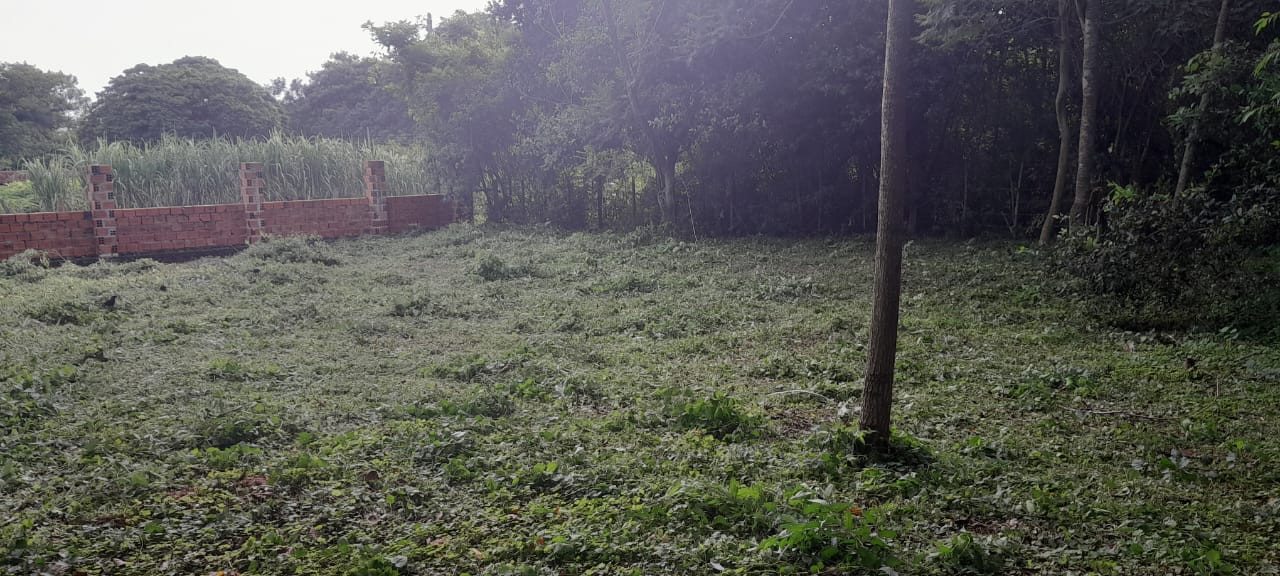 Amplio terreno en la ciudad de Yaguaron-Paraguari — foto 2