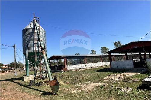 Estancia/Campo - Venta - Paraguay Central Aregua — foto 3