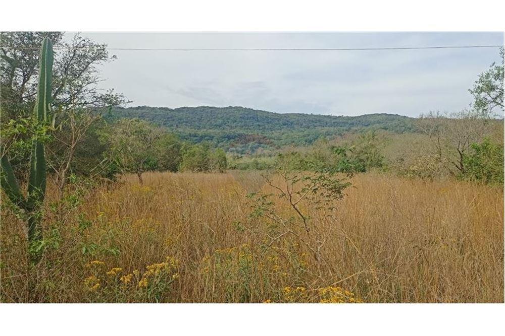 VENDO 23 HECTAREAS EN PARAGUARI CON VISTA A CERROS — foto 2