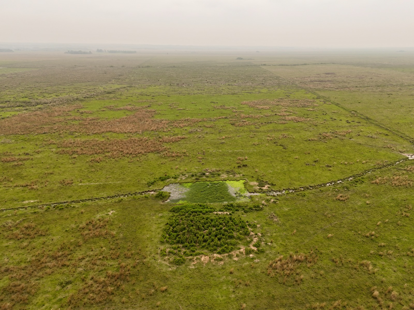 VENDO ESTANCIA CON 86 HECTAREAS EN CARAGUATAY — foto 2