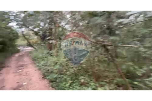 Terreno - Venta - Paraguay Cordillera San Bernardino — foto 3