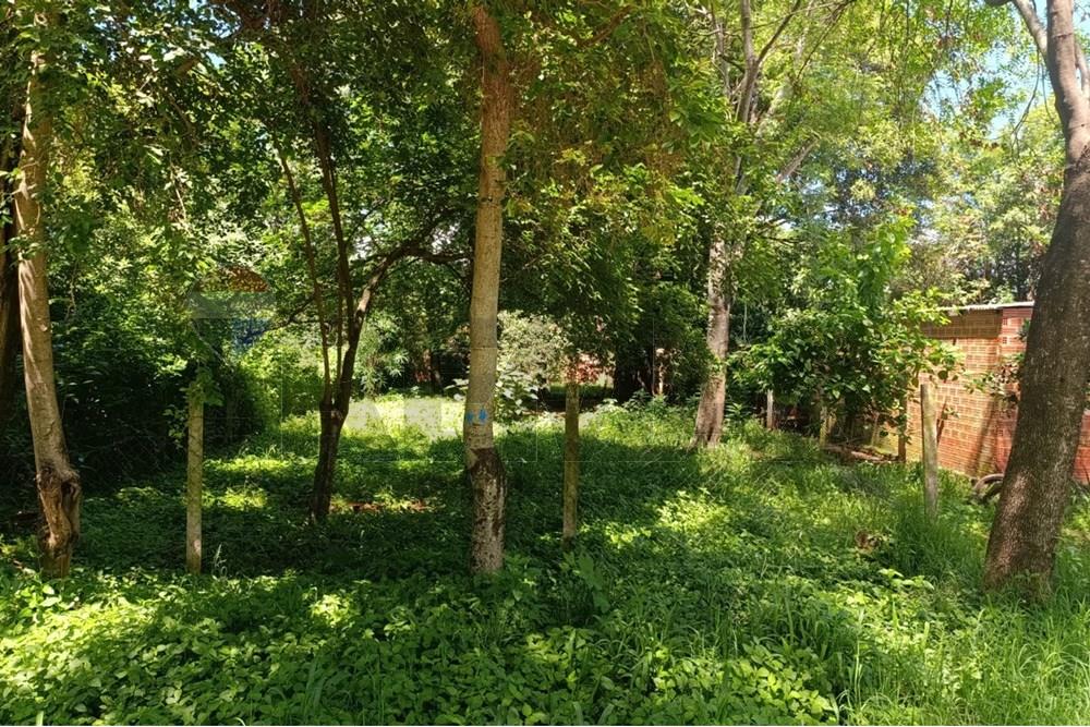 Terreno - Venta - Cambyretá, Paraguay — foto 3