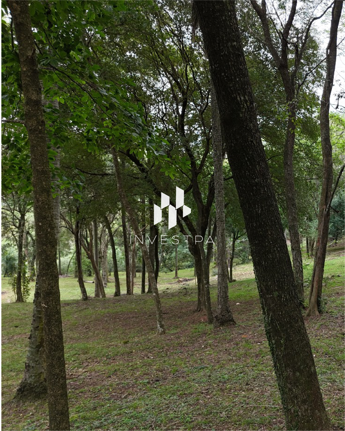 Hermoso Terreno en Barrio Cerrado de Atyra — foto 3