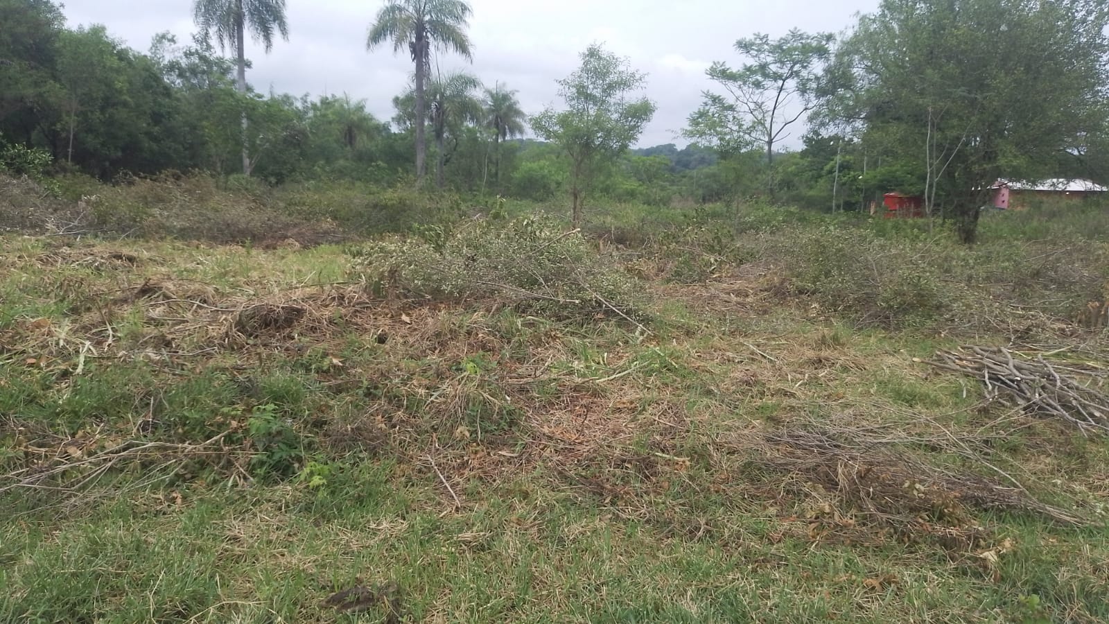 Terrenos en María Auxiliadora, Altos, Cordillera — foto 2