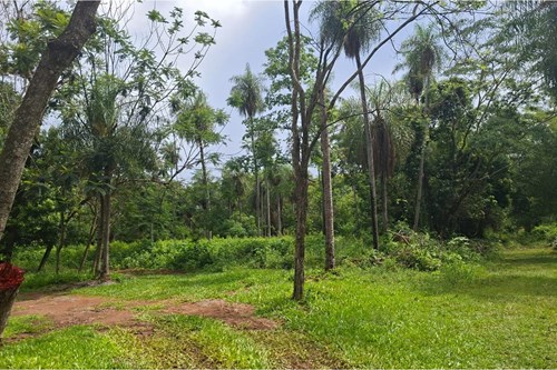 Venta TERRENO en SANBER — foto 2