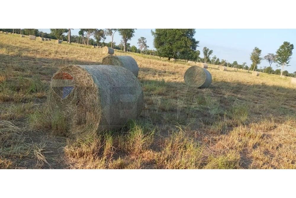 Venta Estancia en Agua Dulce Bahía Negra Chaco Pyo — foto 3