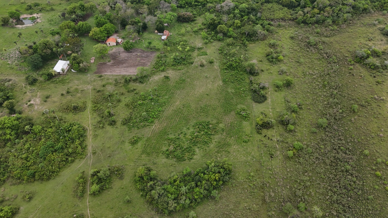 Venta De Terreno 16 Hectáreas — foto 3