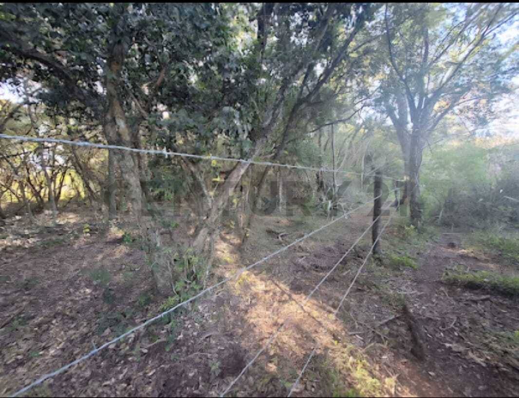 Oferto hermosa propiedad con arroyo en Sapucaí a 2 km de la estación , Sapucai — foto 2