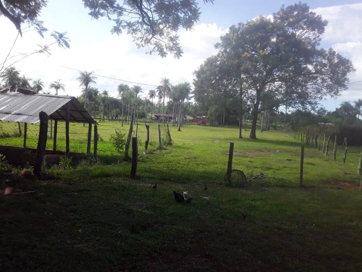 Granja en Venta en Piribebuy — foto 3