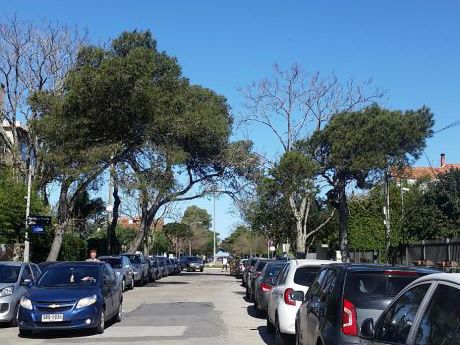 Oficina En Carrasco