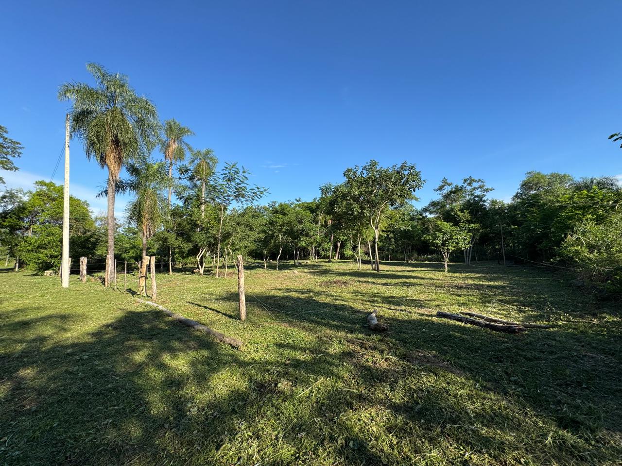 VENDO 2 TERRENOS EN SAN BERNARDINO (juntos o separados) — foto 2