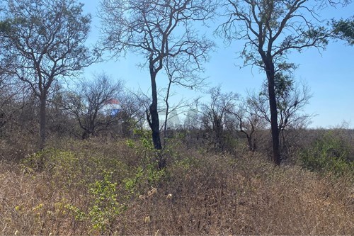 Estancia/Campo-Venta-PY Alto Paraguay Bahia Negra — foto 3
