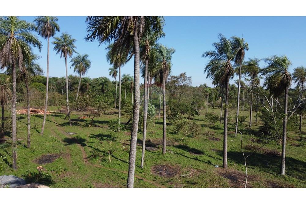 EN VENTA HERMOSO TERRENO EN CAACUPE — foto 2