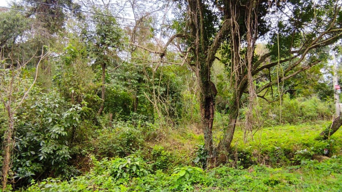 Vendo Terreno en San Bernardino en Sadi II — foto 3