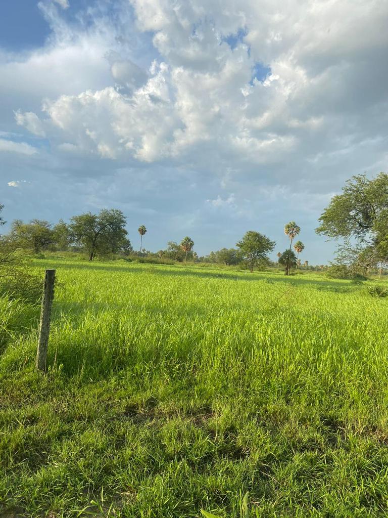 ???? ESTANCIA EN VENTA | 2.762 HECTÁREAS — foto 2