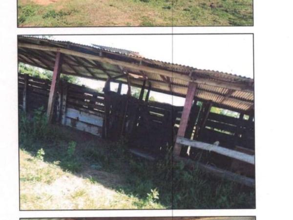 PROPIEDAD RURAL DE 158 HAS EN SAN PEDRO DEL YCUAMANDIYÚ — foto 2