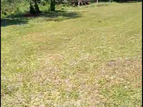 Vendo 2 Terrenos En Itauguá