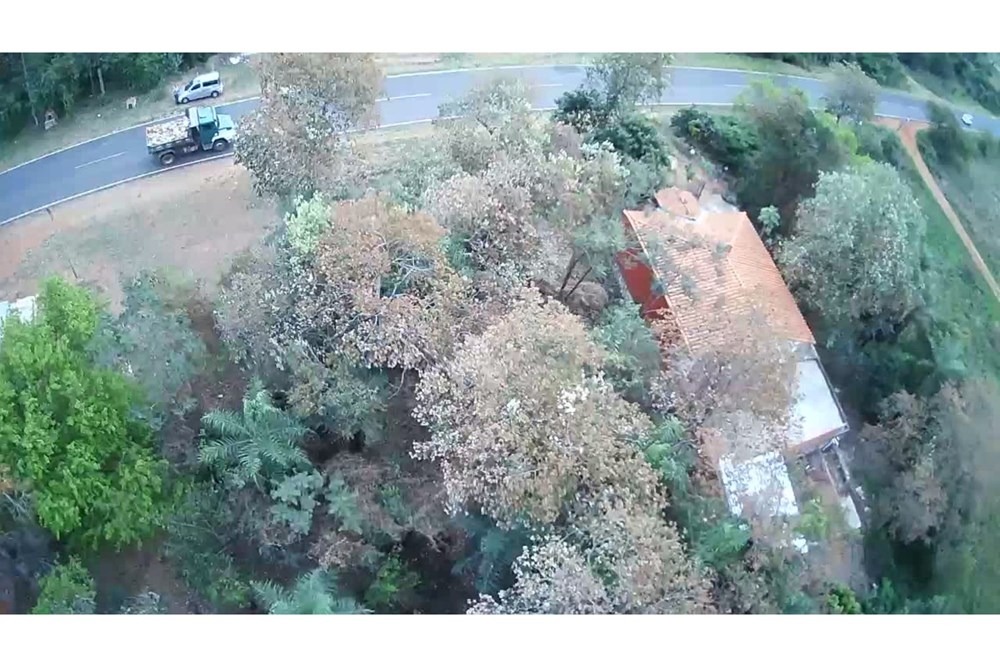 Terreno en Venta-Guillermo Neumann, Isla Alta, Emboscada, Cordillera — foto 2