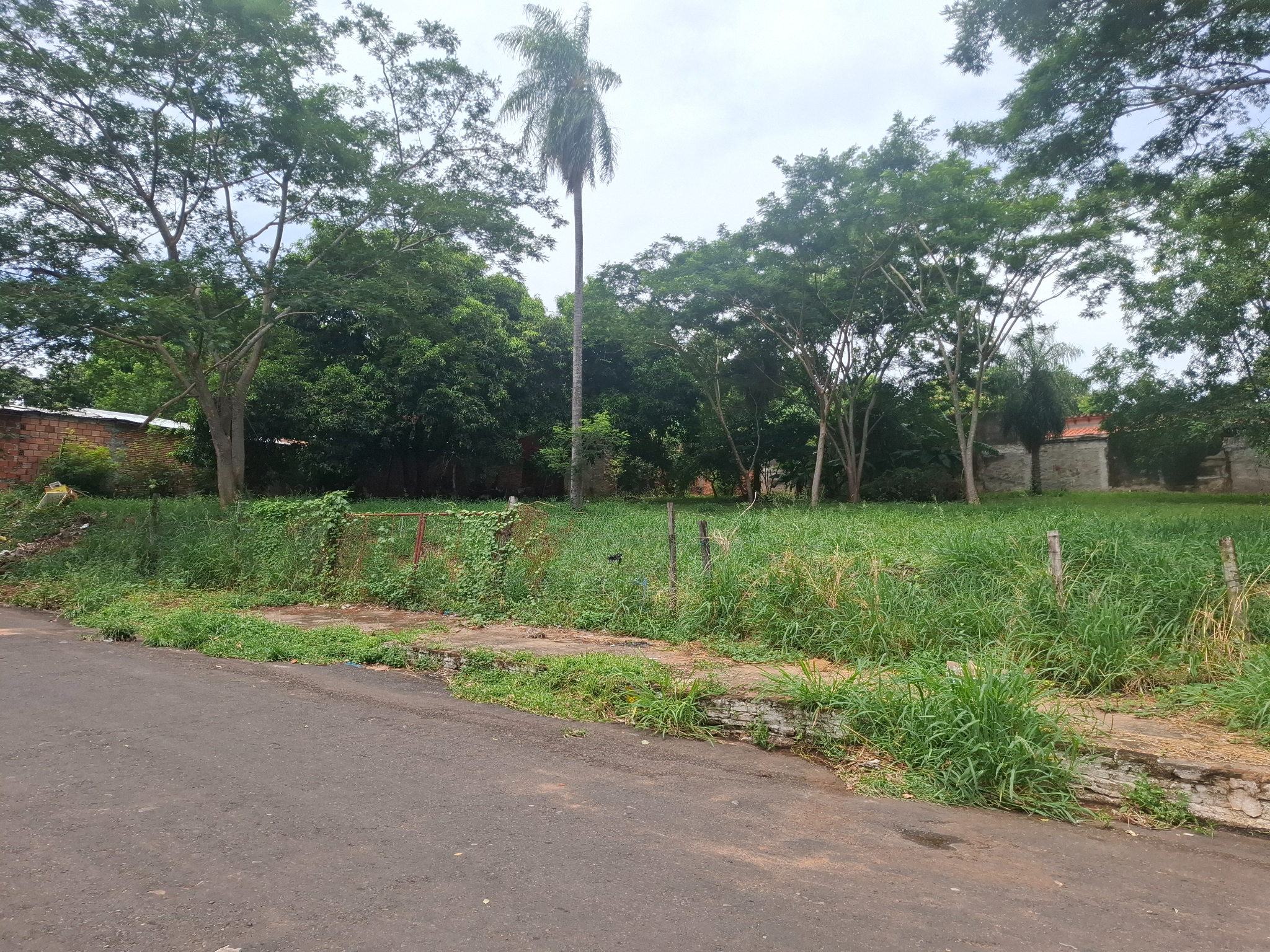 VENTA DE GRAN TERRENO EN FERNANDO DE LA MORA — foto 3