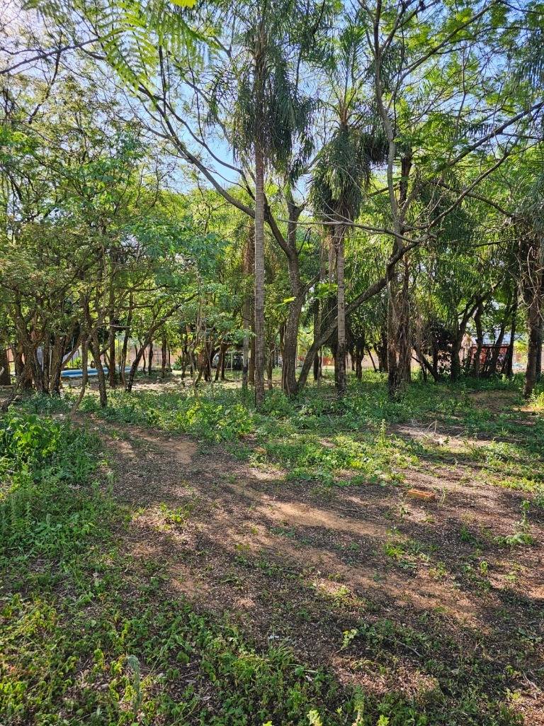 SAN BERNARDINO EN VENTA TERRENO ARBOLADO EN EXCELENTE UBICACIÓN — foto 2
